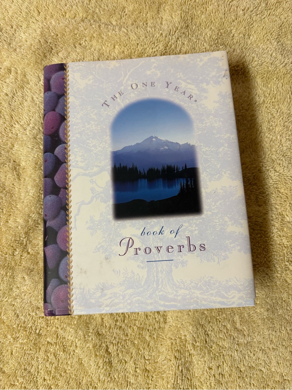 The One Year Book of Proverbs Hardcover Devotional Tyndale Christian